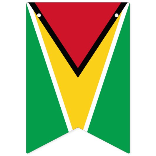 Drapeau de Guyana (Deuxième drapeau)
