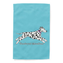 Dalmatiens Woodwynd noir & foie