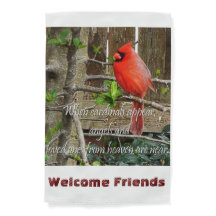 Paradis cardinal