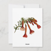 Drapeau De La Bolivie Sur La Carte Du Pays (Dos)