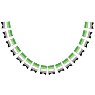 Drapeau de la Fierté