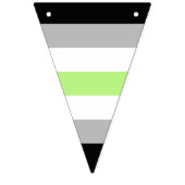 Drapeau de la fierté agender - Identité agender LG (Deuxième drapeau)