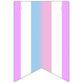 Drapeau de la fierté de Bigender (Deuxième drapeau)