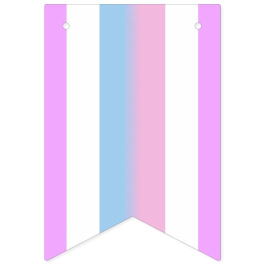 Drapeau de la fierté de Bigender (Deuxième drapeau)