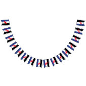 Drapeau de la fierté Switch (Tout)