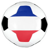 Drapeau de la France (Tourné)
