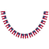 Drapeau de la Géorgie (Tout)