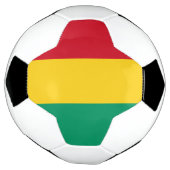 Drapeau de la Guinée (Tourné)