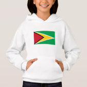 Drapeau de la Guyane (Devant)