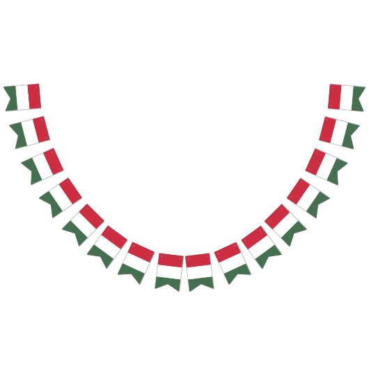 Drapeau de la Hongrie (Tout)
