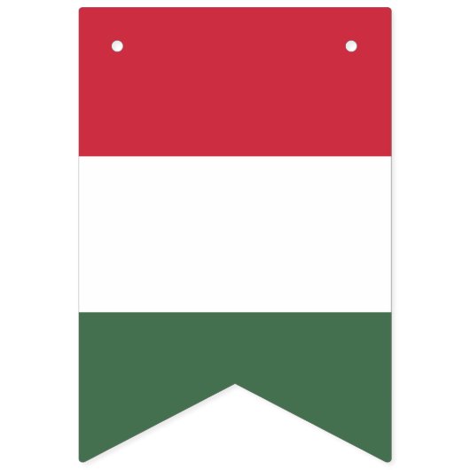 Drapeau de la Hongrie (Deuxième drapeau)
