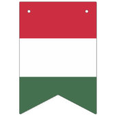 Drapeau de la Hongrie (Troisième drapeau)