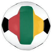 Drapeau de la Lituanie (Tourné)