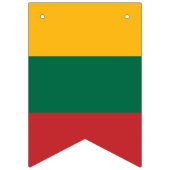 Drapeau de la Lituanie (Premier drapeau)