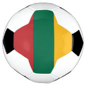 Drapeau de la Lituanie (Tourné)