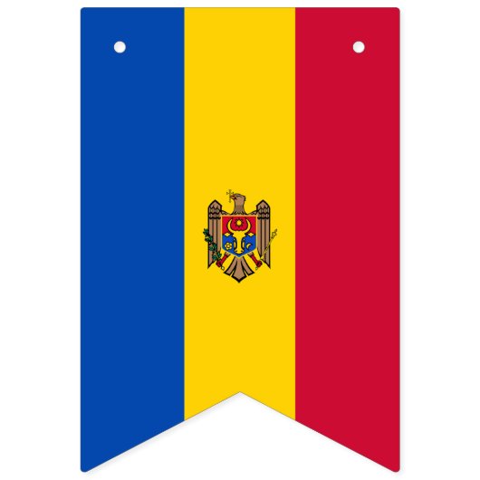 Drapeau de la Moldavie (Deuxième drapeau)
