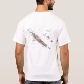 Drapeau de la Nouvelle-Calédonie et T-shirt de (Dos)