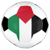 Drapeau de la Palestine (Tourné)