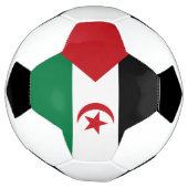 Drapeau de la République arabe sahraouie démocrati (Tourné)