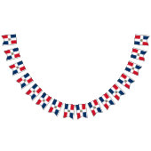 Drapeau de la République Dominicaine (Tout)