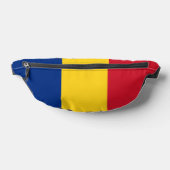 Drapeau de la Roumanie (Poser)