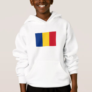 Drapeau de la Roumanie