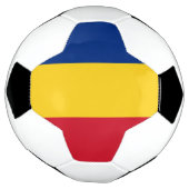 Drapeau de la Roumanie (Tourné)