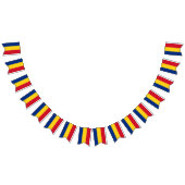 Drapeau de la Roumanie (Tout)