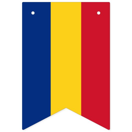 Drapeau de la Roumanie (Deuxième drapeau)