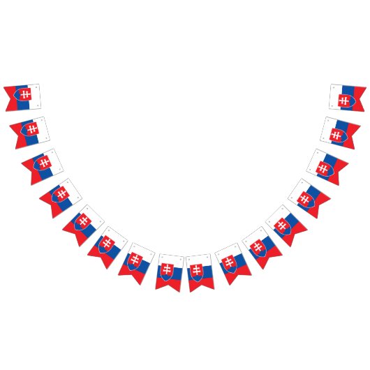 Drapeau de la Slovaquie (Tout)