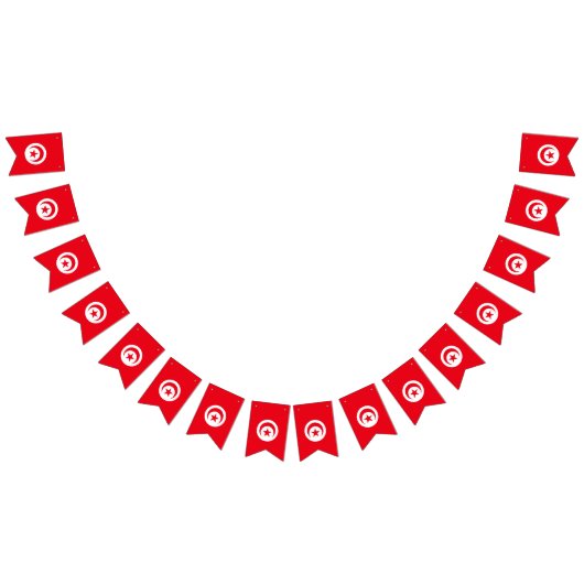 Drapeau de la Tunisie (Tout)