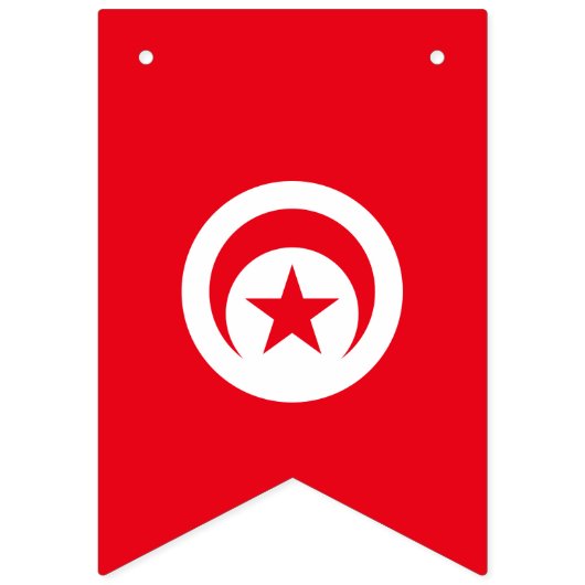 Drapeau de la Tunisie (Premier drapeau)