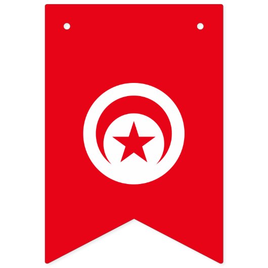 Drapeau de la Tunisie (Troisième drapeau)