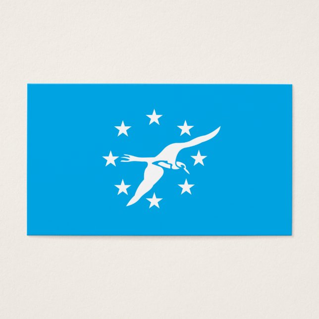 Drapeau de la ville de Corpus Christi (Devant)