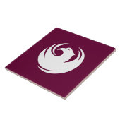 Drapeau de la ville de Phoenix sur carreau (Côté)