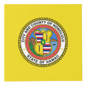 Drapeau de la ville d'Honolulu, Hawaii Cube (Devant)