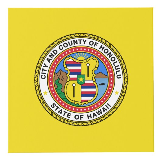 Drapeau de la ville d'Honolulu, Hawaii Cube (Devant)