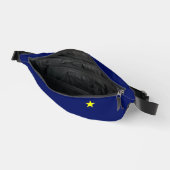 Drapeau de l'Alaska - Sceau (Ouvrir)