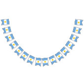 Drapeau de l'Argentine (Tout)