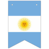 Drapeau de l'Argentine (Premier drapeau)