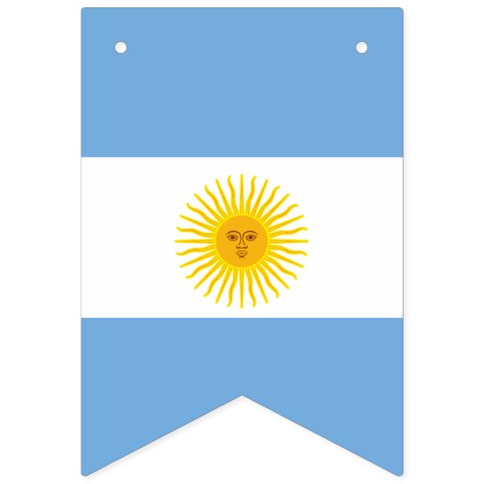Drapeau de l'Argentine (Troisième drapeau)