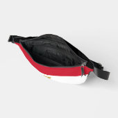 Drapeau de l'Égypte (Ouvrir)