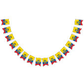 Drapeau de l'Equateur (Tout)