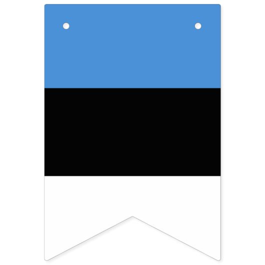 Drapeau de l'Estonie (Deuxième drapeau)