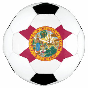 Drapeau de l'État de Floride