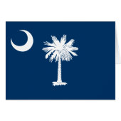 Drapeau de l'État de la Caroline du Sud (Devant horizontal)