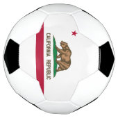 Drapeau de l'État de la République de Californie (Tourné)