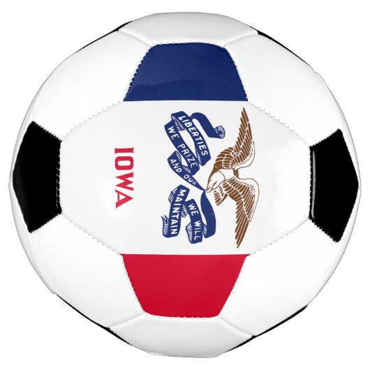 Drapeau de l'État de l'Iowa (Tourné)