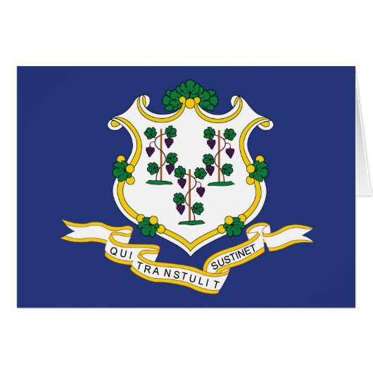 Drapeau de l'État du Connecticut (Devant horizontal)