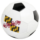 Drapeau de l'État du Maryland (3/4)